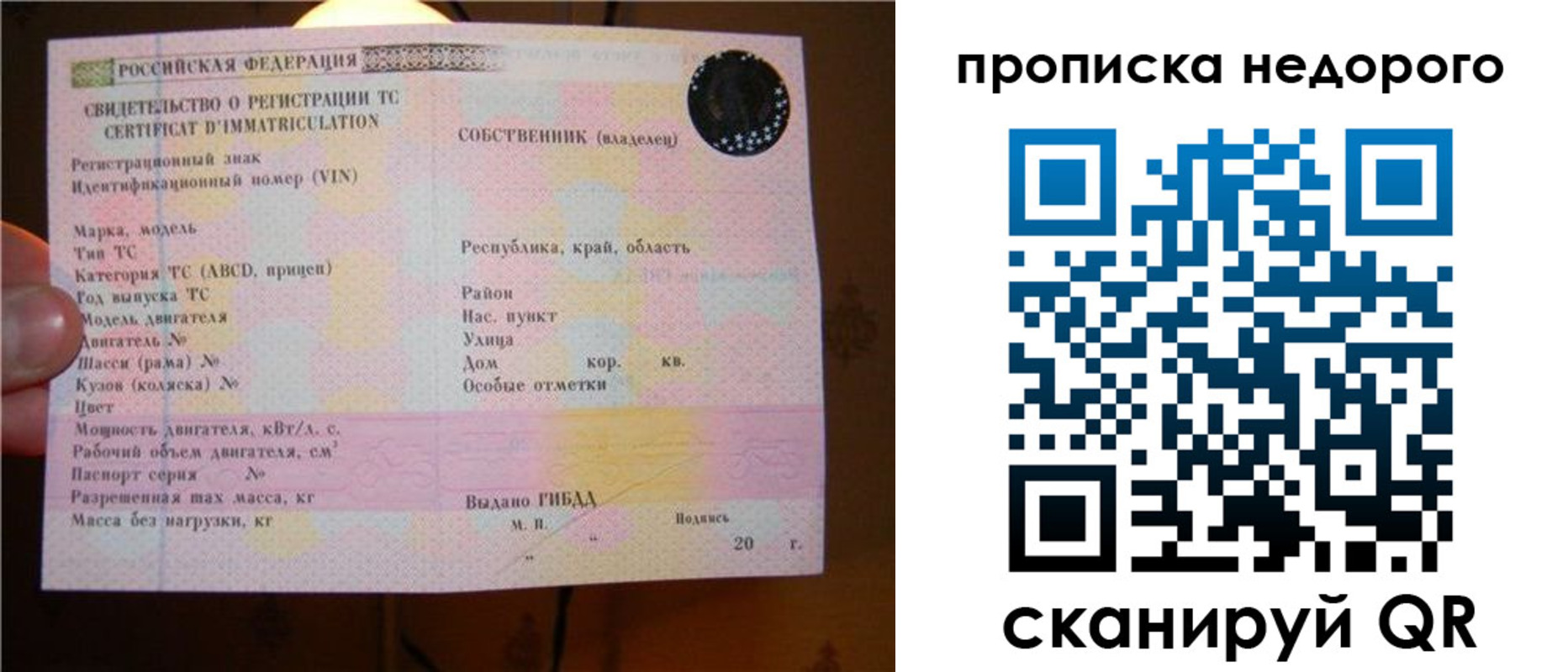 миграционный учет в Коле