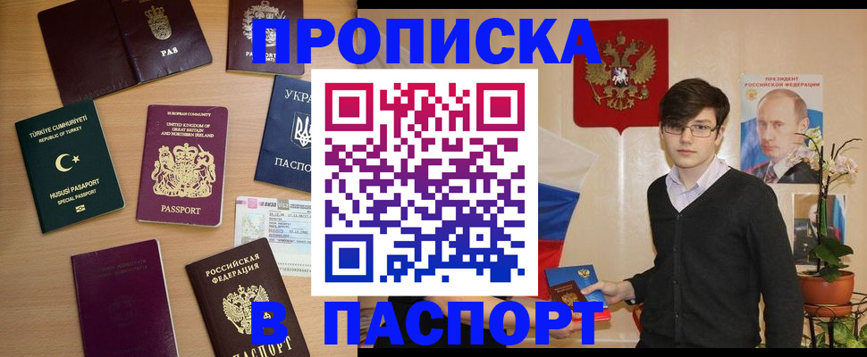 прописка 2025 в Коле